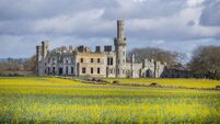 Meeting tomorrow on proposed solar farm near Kildare/Carlow border