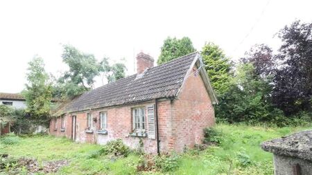 Old cottage in prime Kildare location has development potential