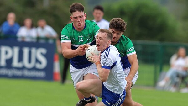 Naas pushed all the way by Johnstownbridge