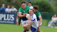 Naas pushed all the way by Johnstownbridge