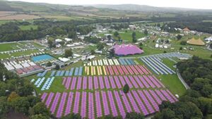 Drug safety tents to be in use at Electric Picnic