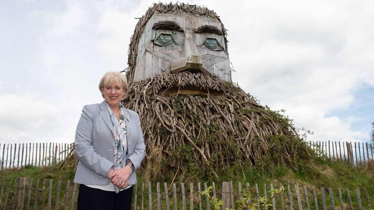 Kildare forest third most popular in State