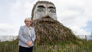 Kildare forest third most popular in State