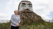 Kildare forest third most popular in State
