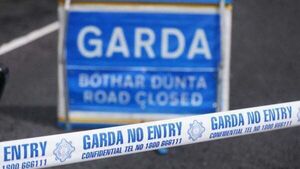 Young girl treated in hospital following dog attack in Co Kerry Young girl treated in hospital following dog attack in Co Kerry