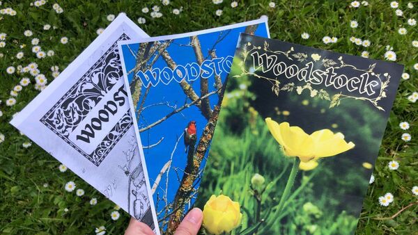 ‘Woodstock’ shines a light on storied area of Athy