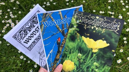 ‘Woodstock’ shines a light on storied area of Athy