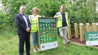 Naas welcomes all with ‘Fáilte Forest’ 