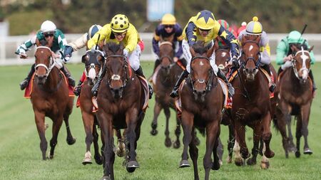 Kildare tech firm to deploy platform for Australian races