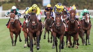 Kildare tech firm to deploy platform for Australian races Kildare tech firm to deploy platform for Australian races