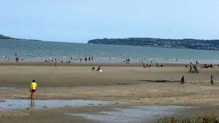 Do not swim notices issued for two Dublin beaches