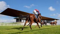 Curragh Racecourse: preview and tips for Saturday’s bumper eight-race card - including Group 2 Futurity Stakes and Debutante Stakes
