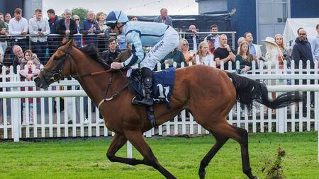 Nighteyes returns to Naas