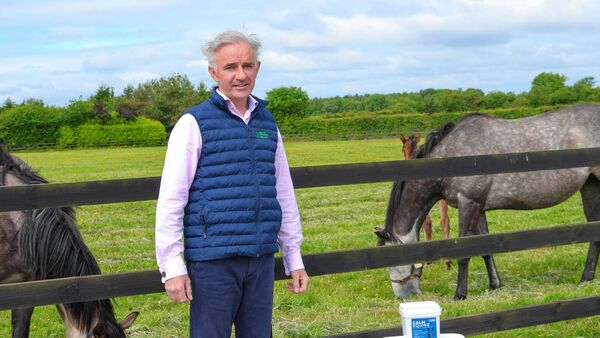 Kildare business gets national spotlight at the Ploughing
