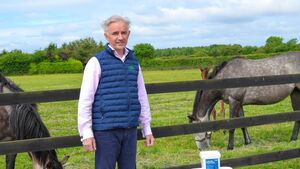 Kildare business gets national spotlight at the Ploughing