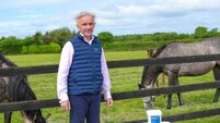 Kildare business gets national spotlight at the Ploughing