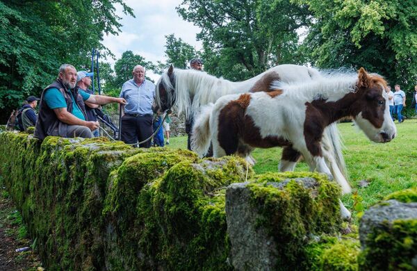 Waiting for the horse dealing