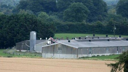 Fatal helicopter crash that claimed life of Kildare man occurred during 'training'