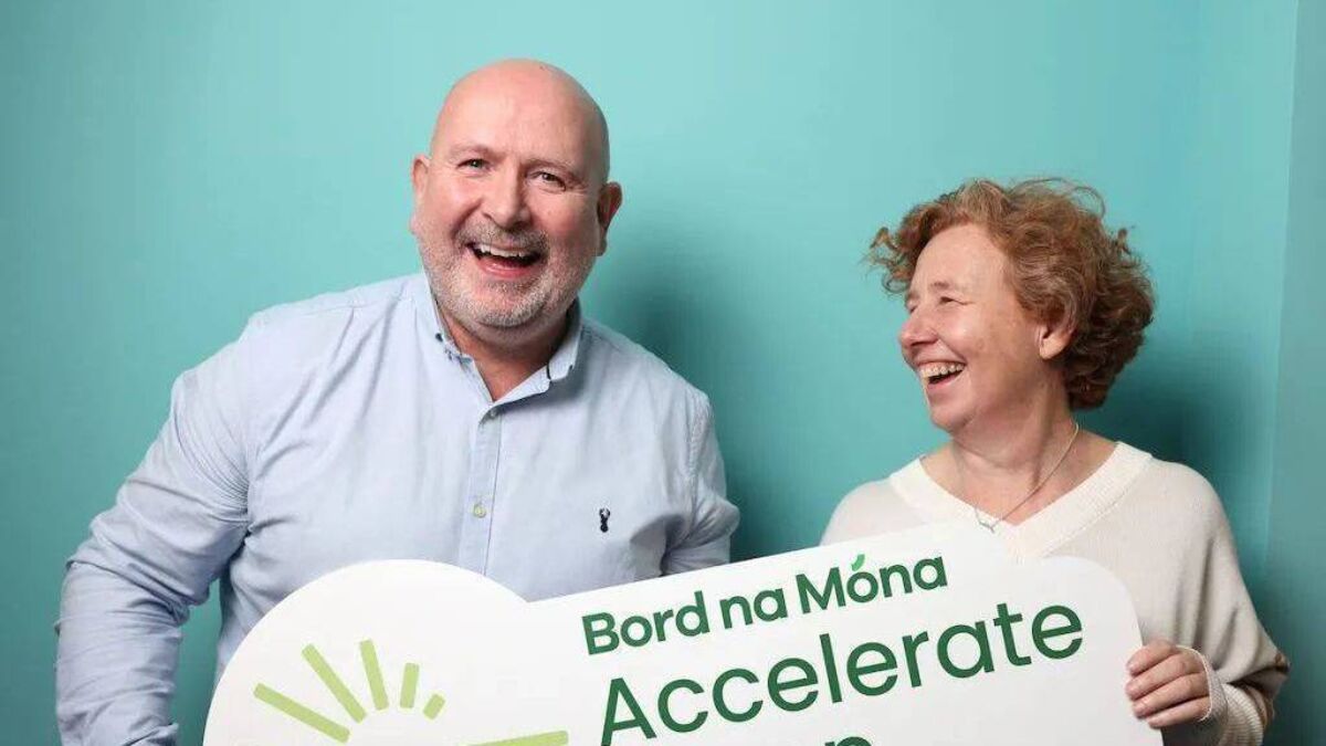 Kildare companies encouraged to enter sustainable business accelerator