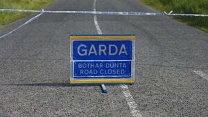 Woman (80s) dies from her injuries following collision in Donegal Woman (80s) dies from her injuries following collision in Donegal