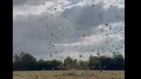 WATCH: 'Twister' lands in Kildare!