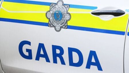 Two injured, one arrested after separate disturbances at same Dublin property