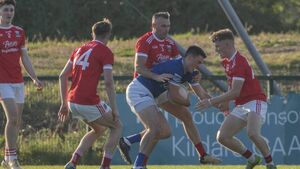 Celbridge edge high quality affair