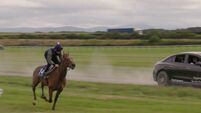 Manes vs motors: Max Hart drives alongside a galloping racehorse 