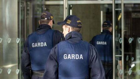 Gardaí to spend estimated €12m on body armour for Public Order Unit