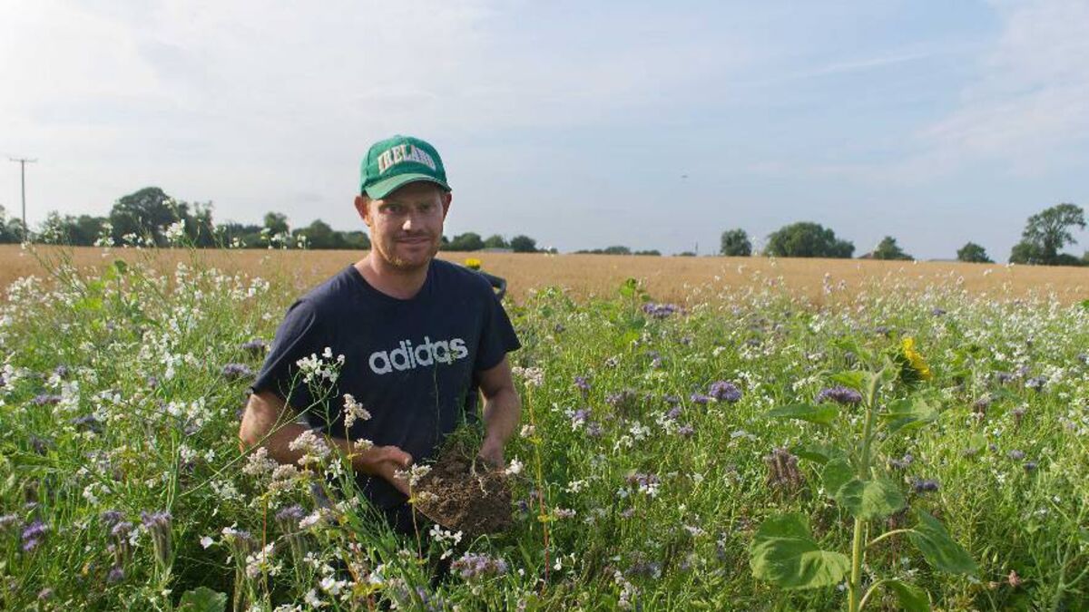 Kildare farmers take part in fascinating new TG4 series