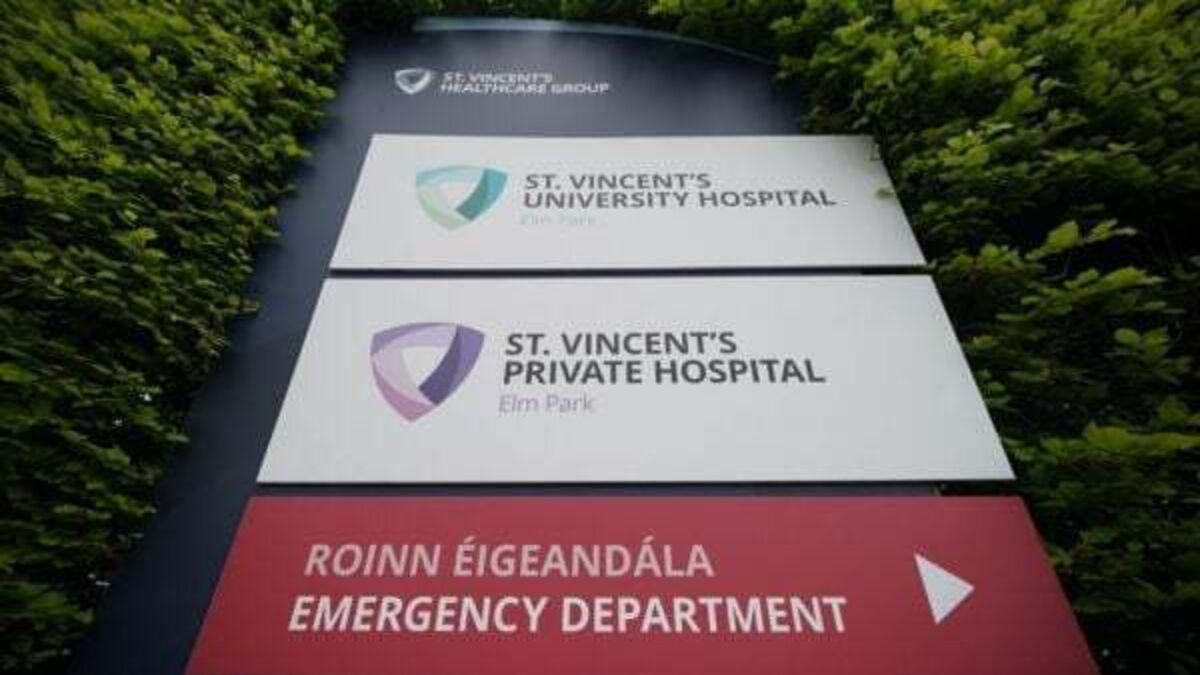 Woman suffers serious injuries after attack by dogs in Dún Laoghaire