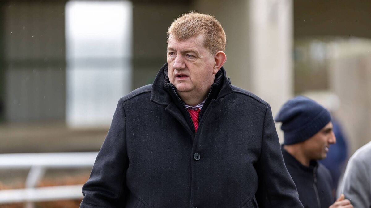 Shark Hanlon receives suspension over dead horse
