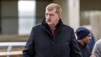 Shark Hanlon receives suspension over dead horse