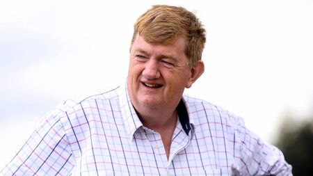 'Shark' Hanlon confirms intention to appeal IHRB suspension
