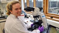 Kildare lab is dedicated to your pet's health