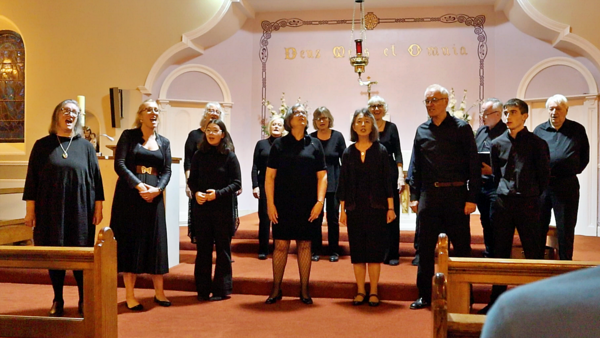 The Gormanstown Choir performing at Syrian refugee fundraiser