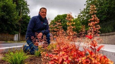 Carlow town cleans up at European competition for environmental excellence