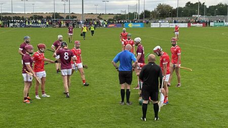 Coill Dubh send Leixlip down as SHC knockout stages are confirmed