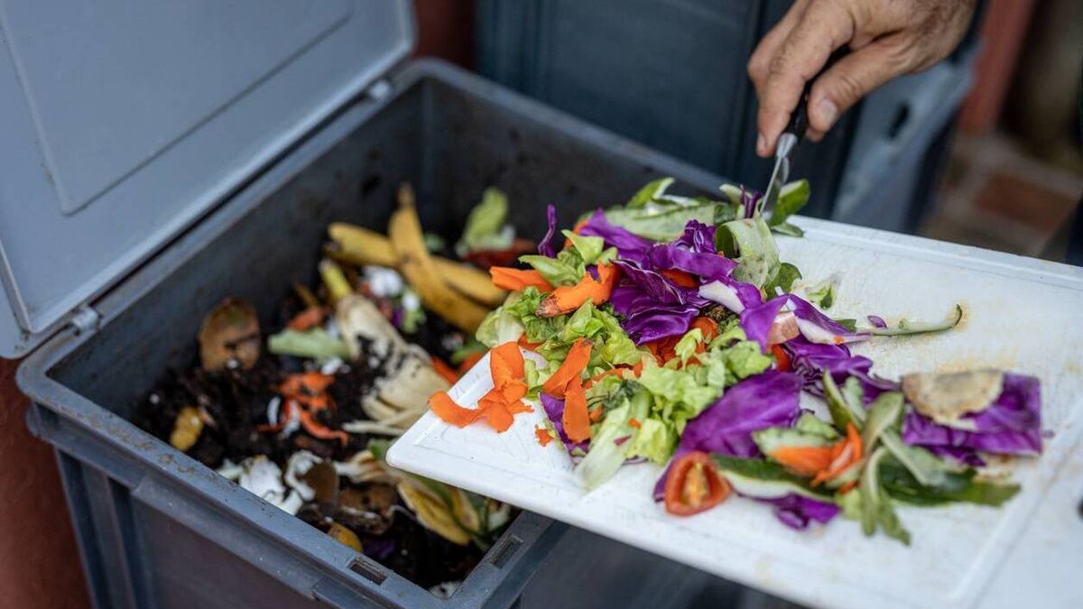 Cut down on waste and use those veg cuttings