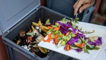 Cut down on waste and use those veg cuttings