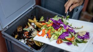 Cut down on waste and use those veg cuttings Cut down on waste and use those veg cuttings