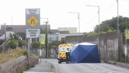 Teenager arrested in connection with fatal hit-and-run incident in Dublin