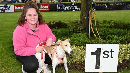 Proud owners show off their pups at Punchestown!