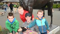 PHOTOS: KWWSPCA Annual Dog Show in Punchestown