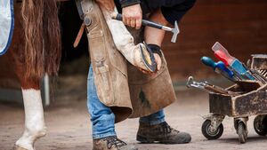 Living Greener: World of craftsperson is alien to modern life