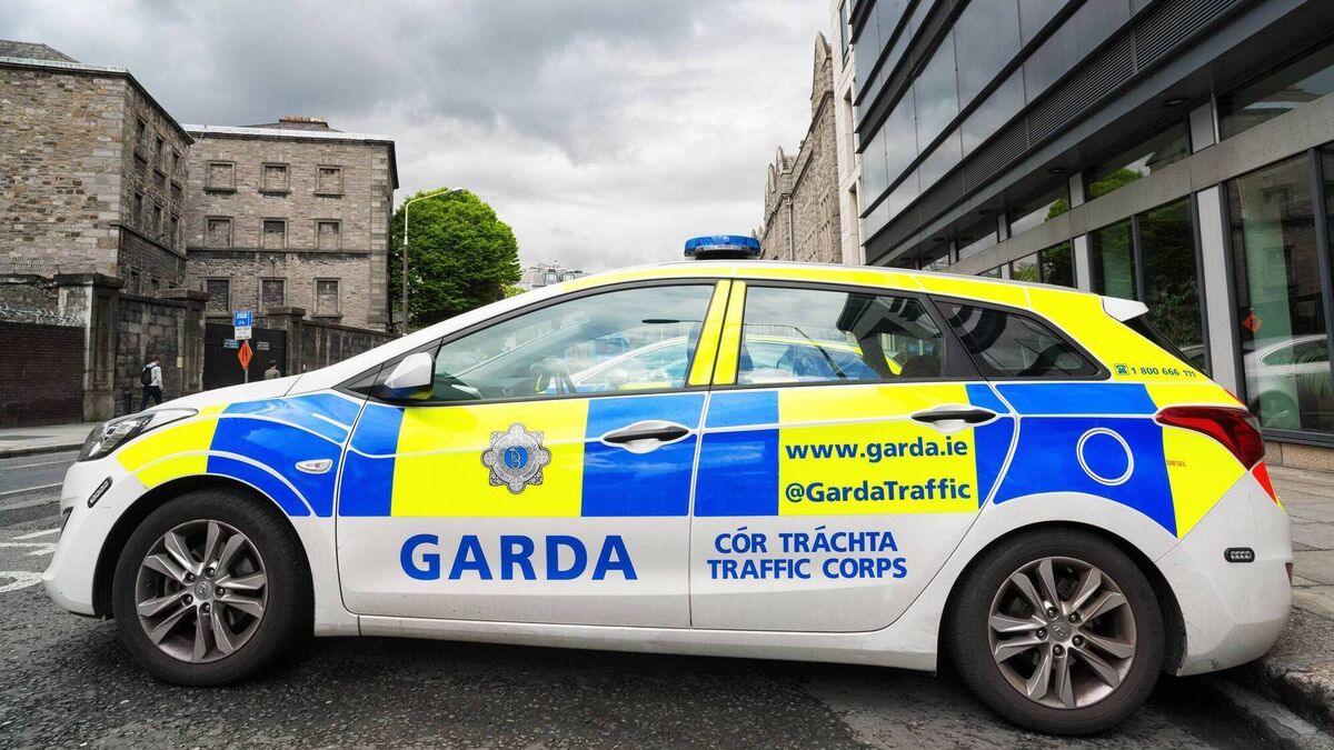 Kildare man gets nine months for vandalising garda car