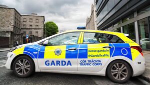 Kildare man gets nine months for vandalising garda car