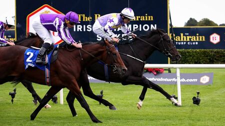 Harrington dreaming of Derby glory after Champions Weekend win