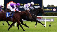 Harrington dreaming of Derby glory after Champions Weekend win