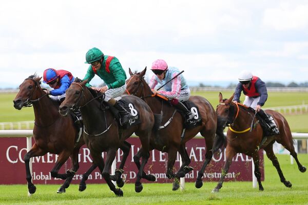 Shane Foley on Hanalia wins the The Moyglare 'Jewels' Blandford Stakes (Group 2) Photo: ©INPHO/James Crombie